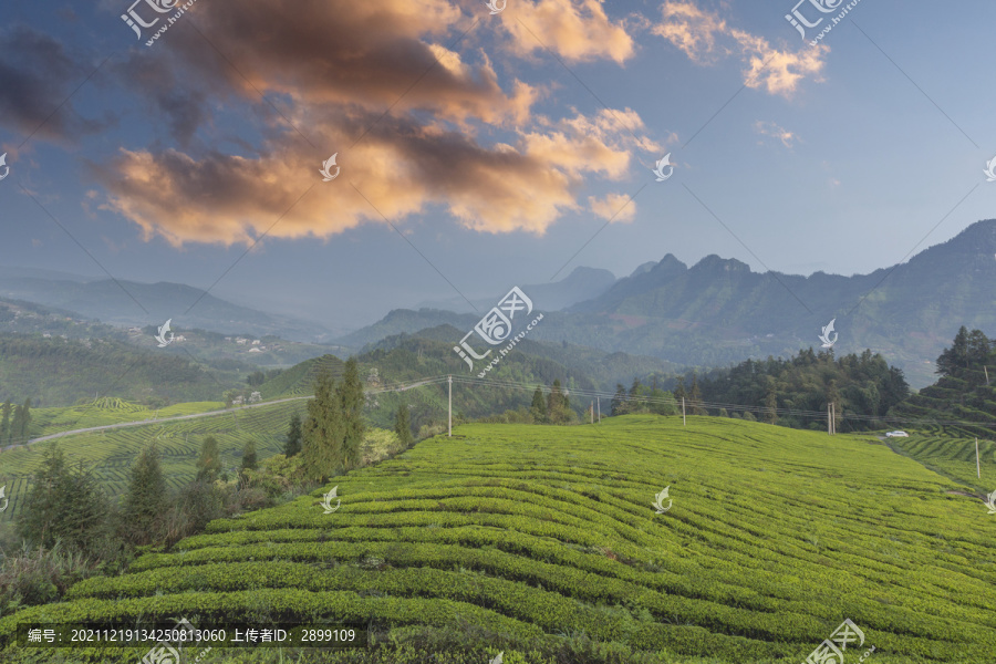 彩云山脉蜿蜒茶山自然风光