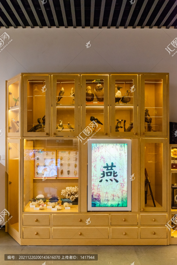 儿童博物馆标本展柜