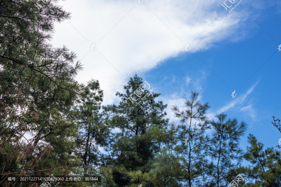 重庆巫山摩天岭蓝天白云和森林