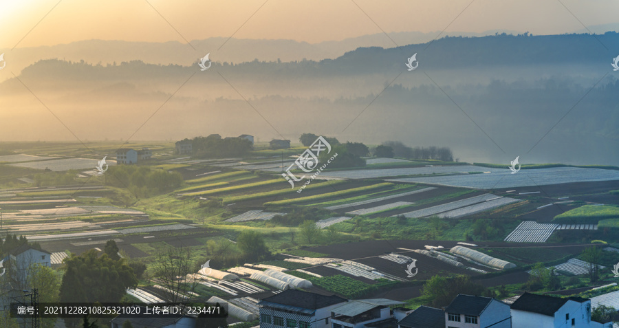 希望的田野