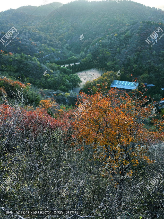 初秋山峰树林风景图片