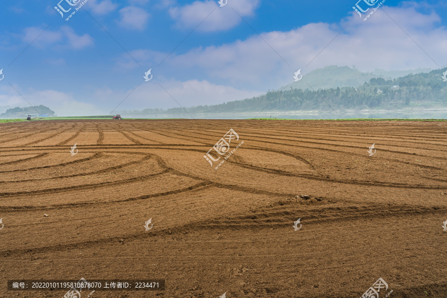 希望的田野