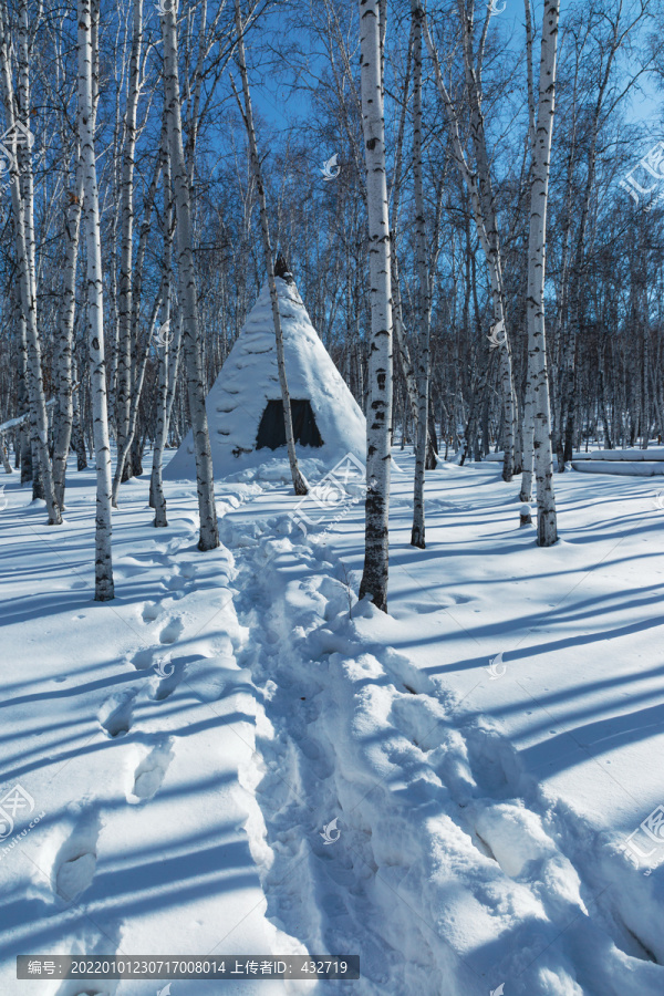 冬季雪原白桦树林撮罗子