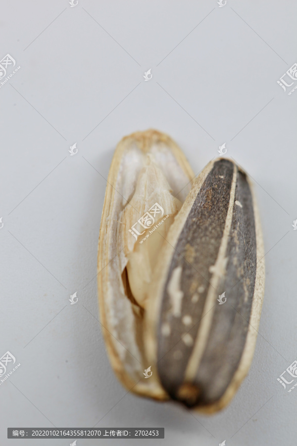 瓜子