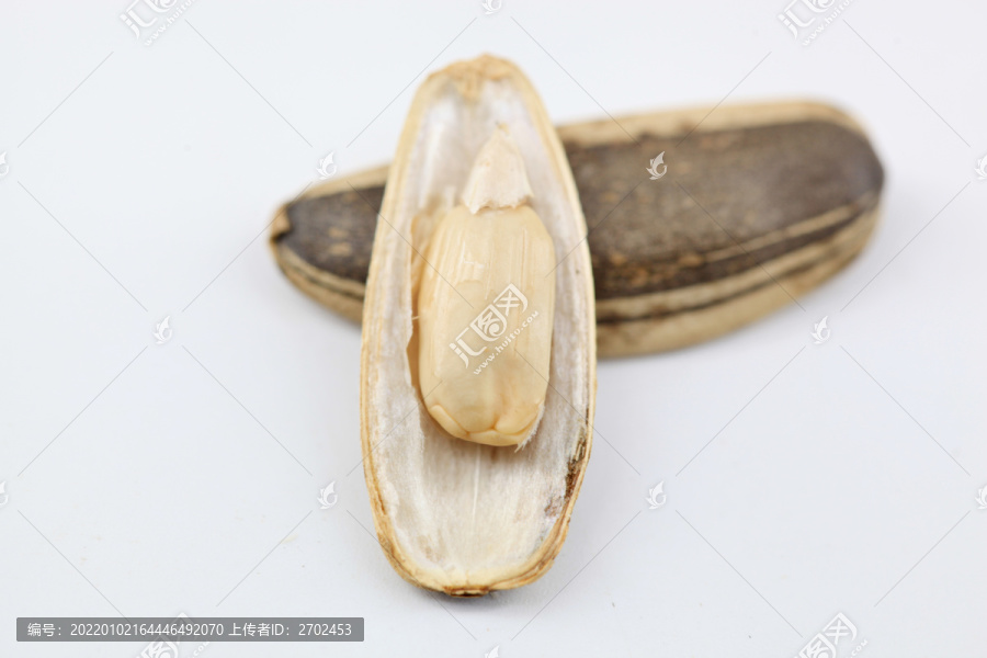 瓜子