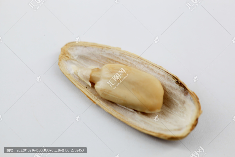 瓜子