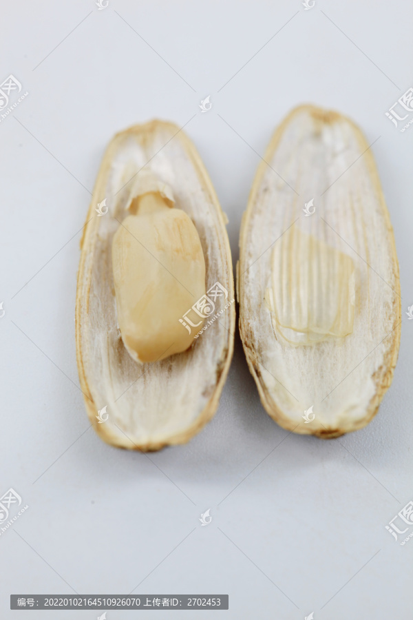 瓜子