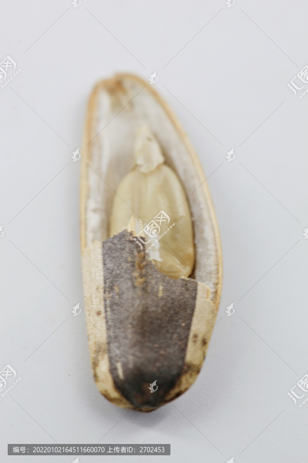 瓜子