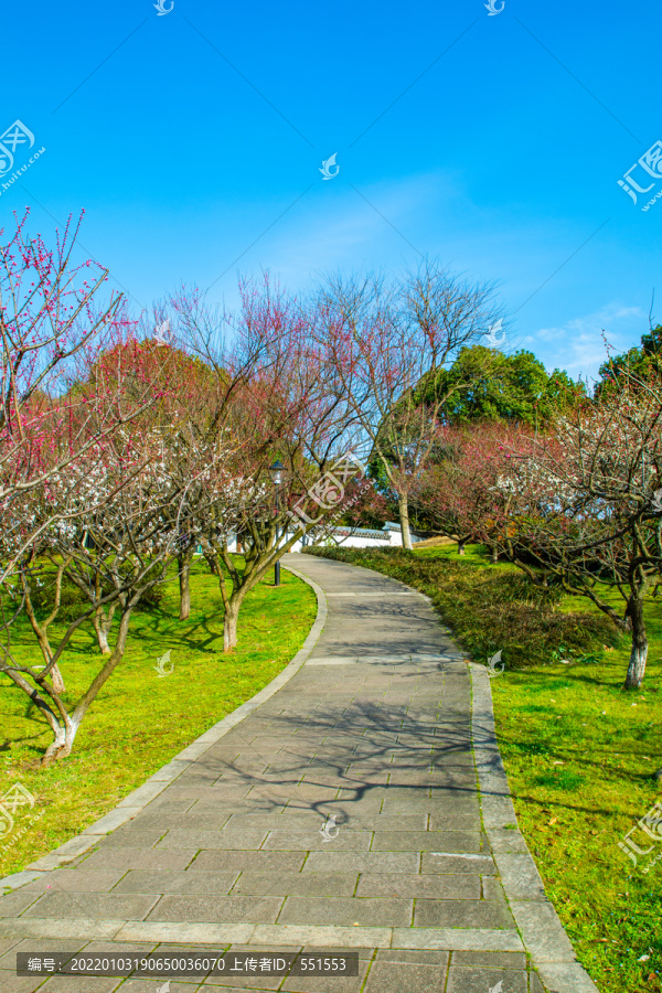 超山公园
