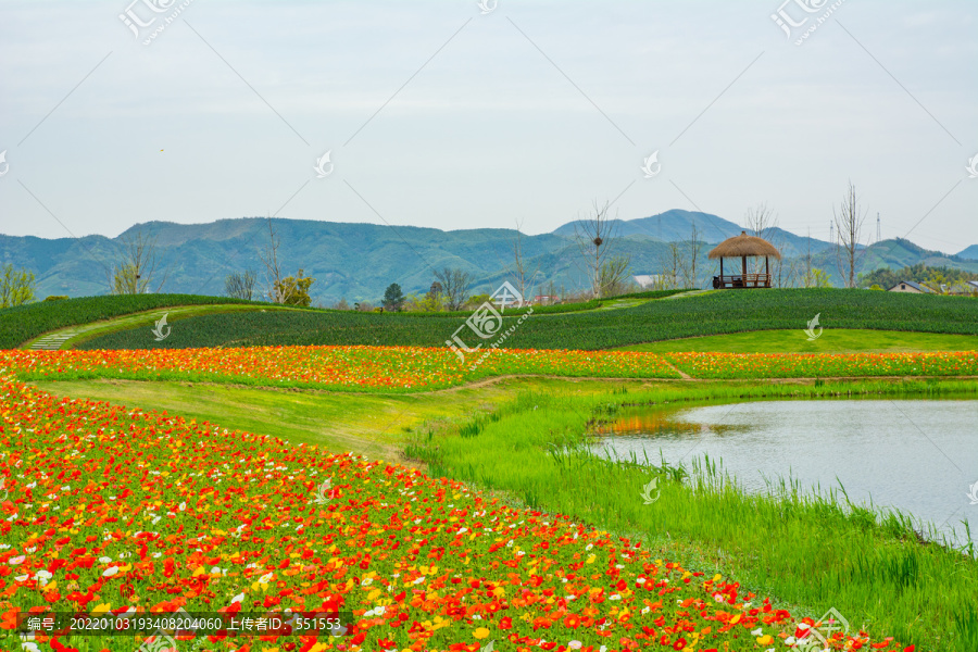 径山花海