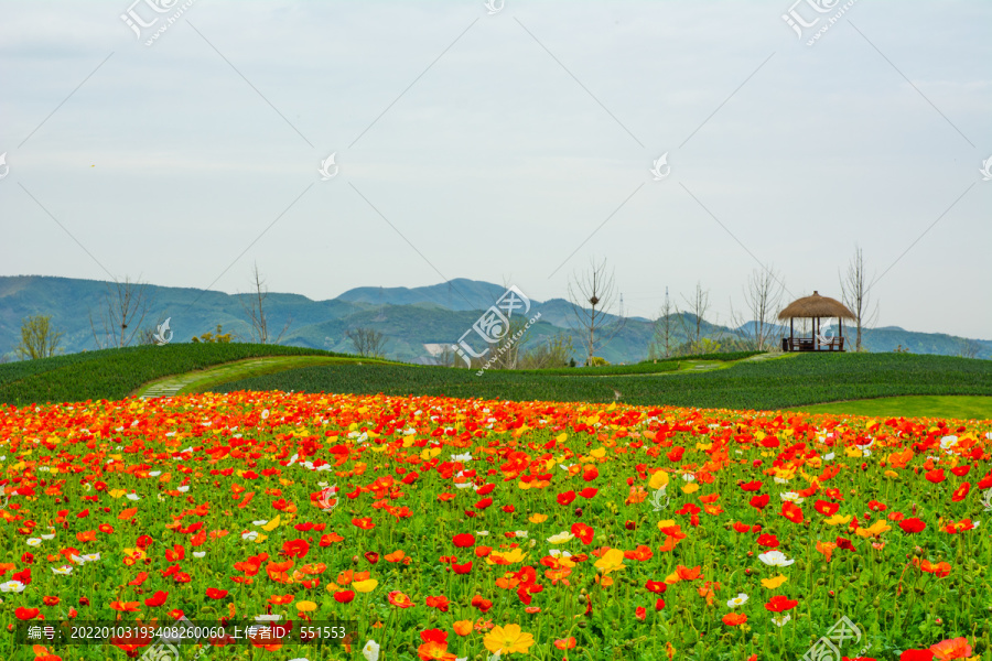 径山花海
