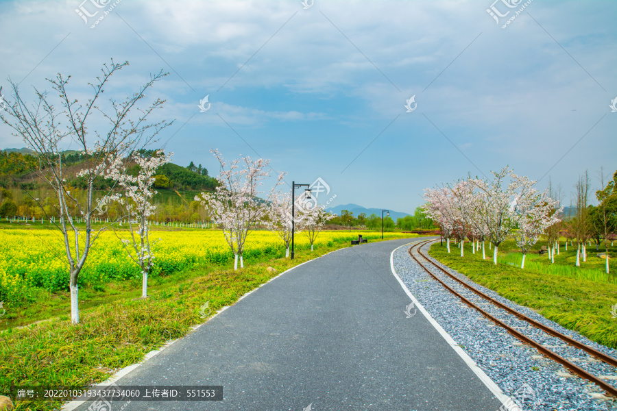 径山花海