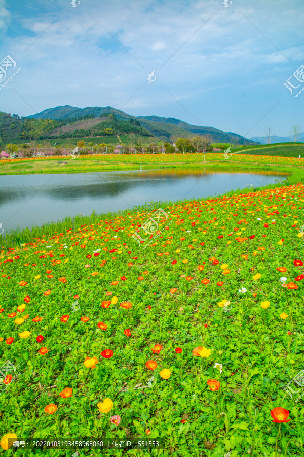 径山花海