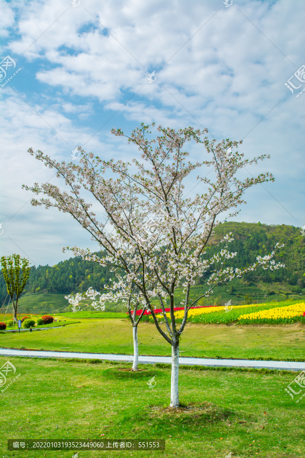 径山花海