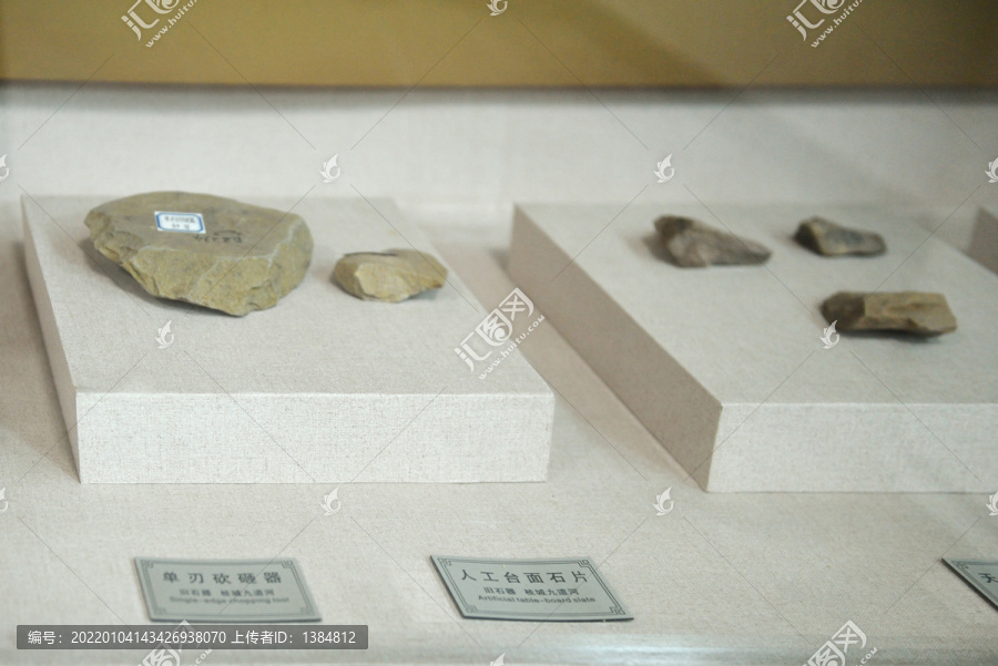 九道河人遗址古动物化石