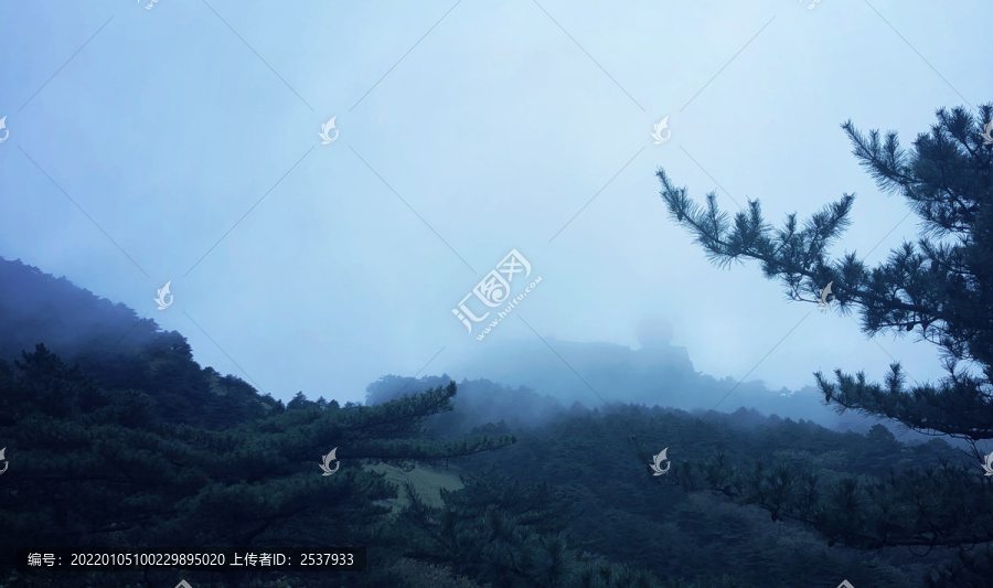 山峰松树林风景图片