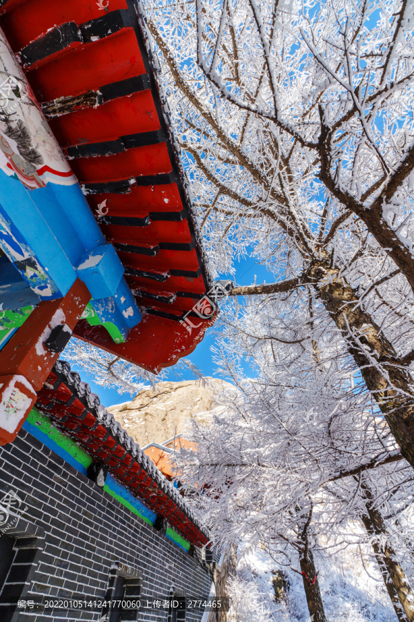 雪后崂山巨峰晶挂雾凇