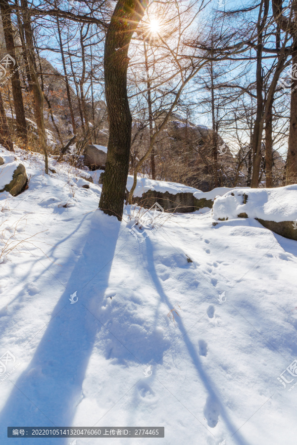 雪后崂山巨峰晶挂雾凇