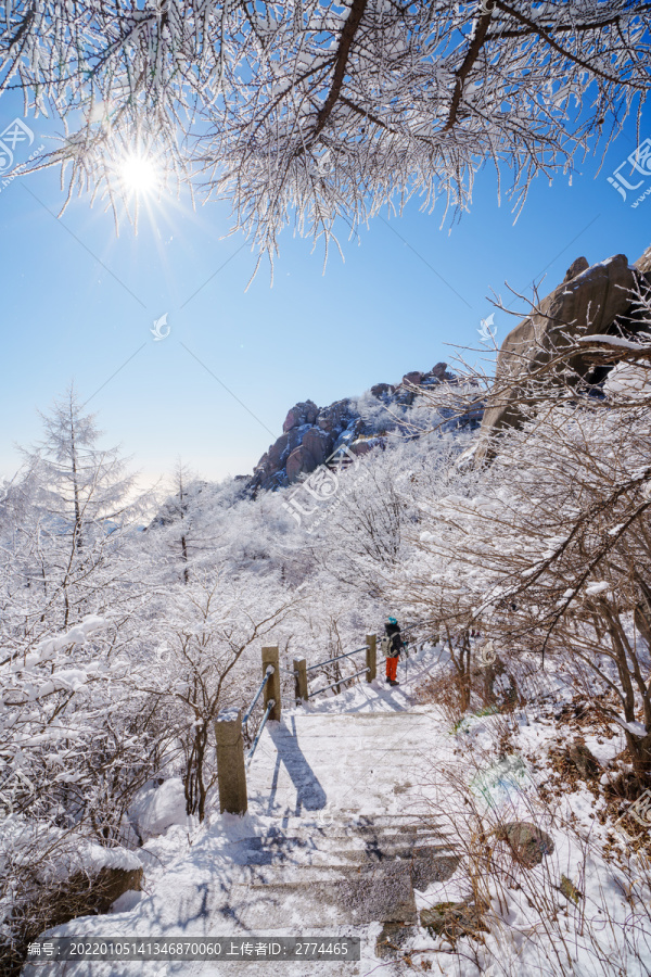 雪后崂山巨峰晶挂雾凇