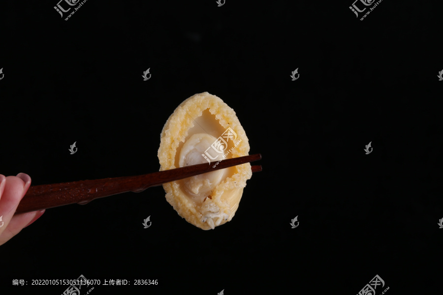 鲍鱼特写镜头