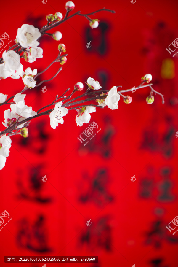 春节白色梅花装饰背景