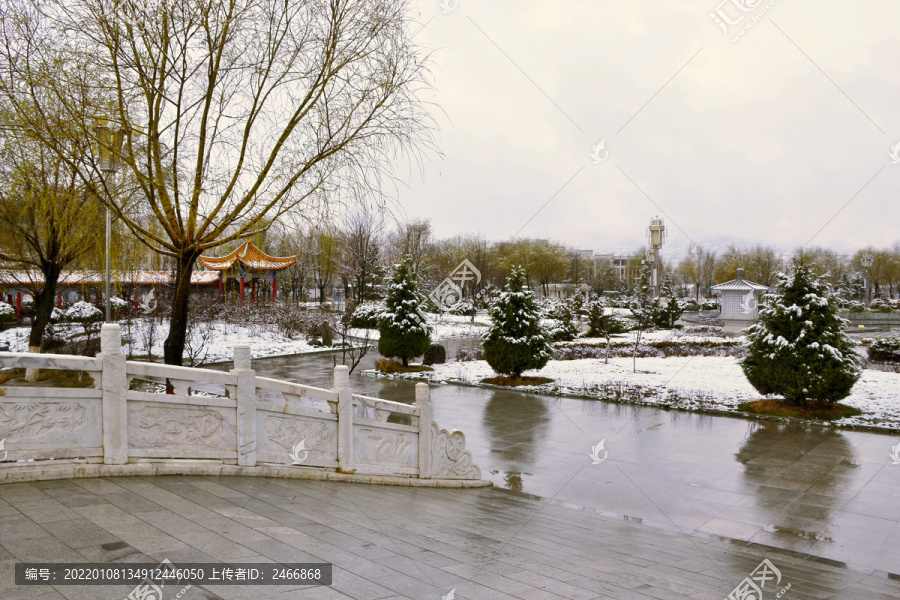 公园雪景