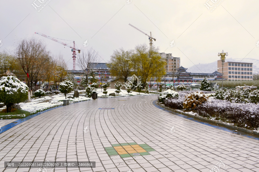 公园雪景