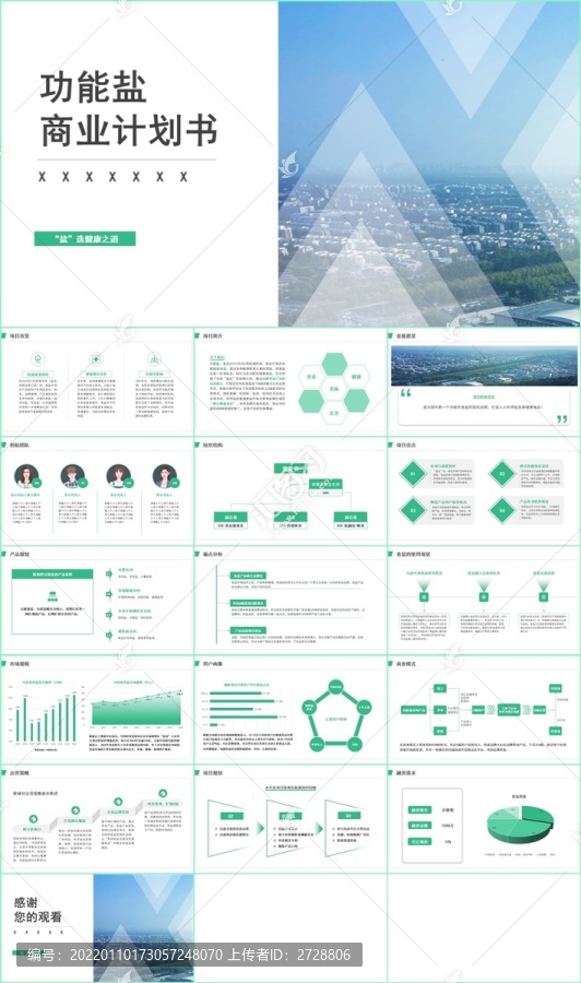 植物型功能盐商业计划书PPT