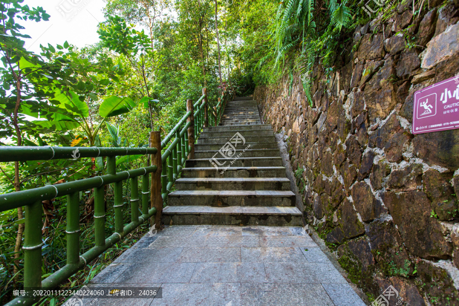平南北帝山旅游风景区登山石阶
