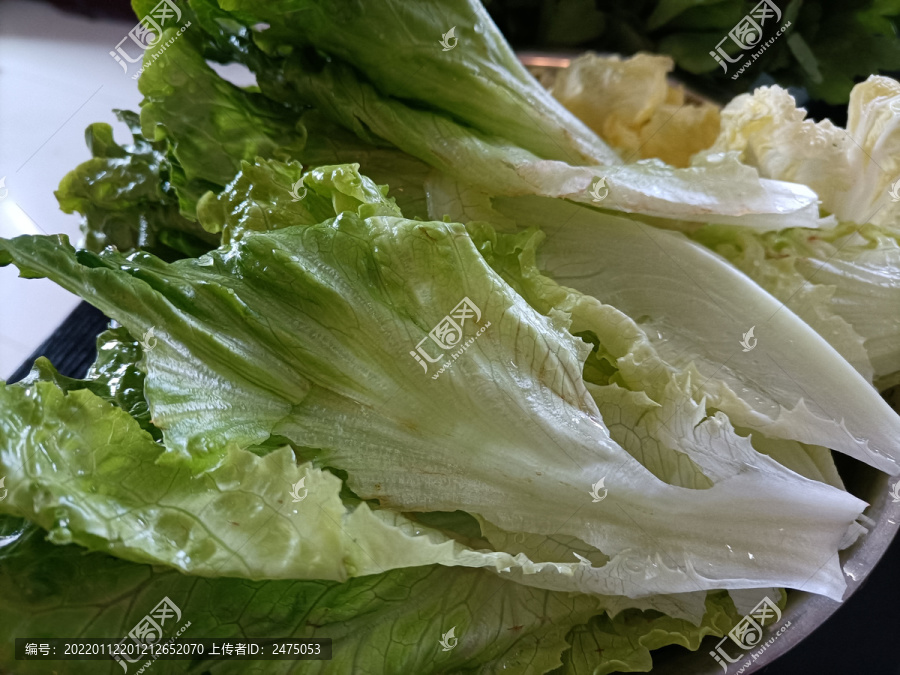 生菜