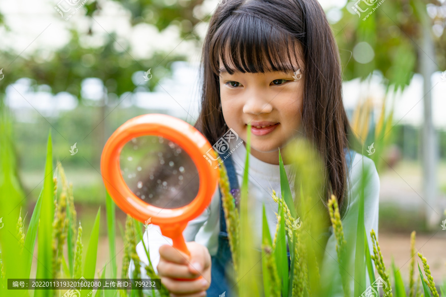 小女孩拿着放大镜观察植物,摄影素材,汇图网www.huitu.com