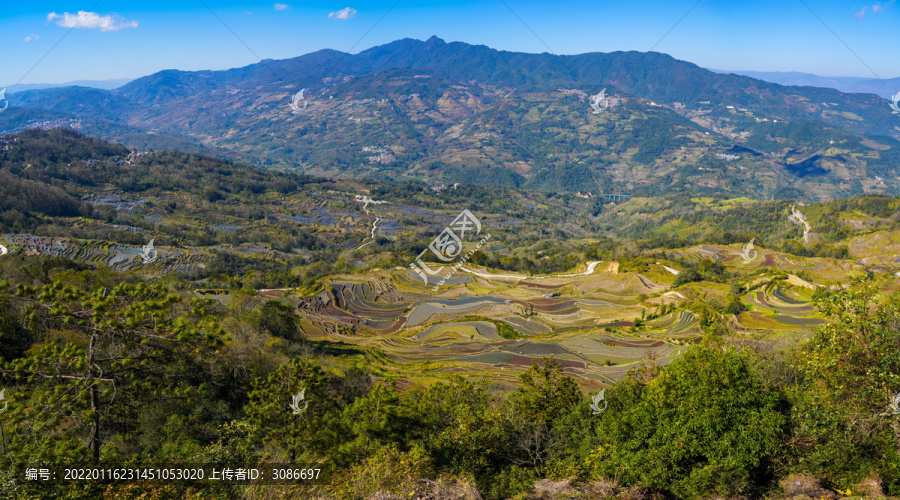 云南撒玛坝梯田风光