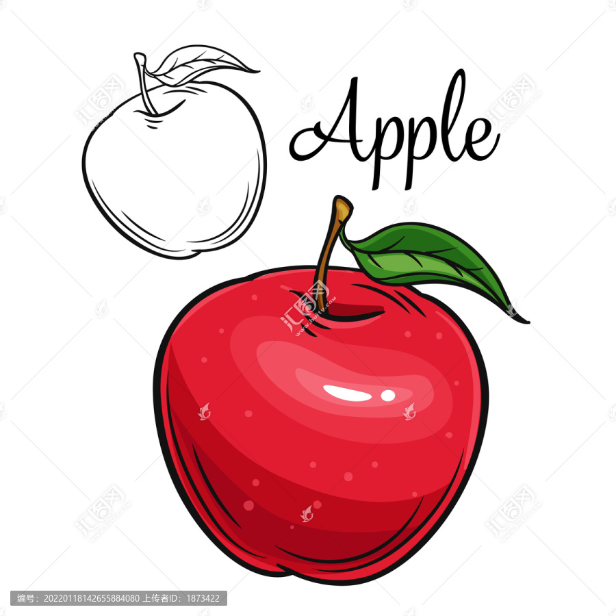新鲜红苹果彩绘插图