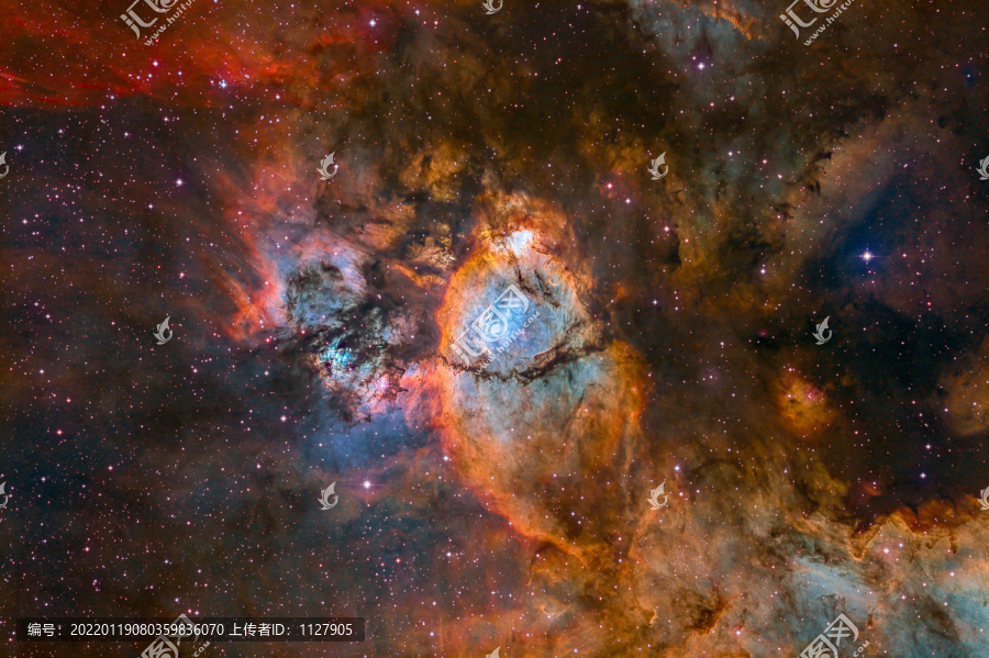 IC1795鱼头星云