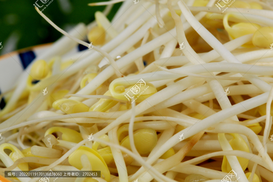 豆芽菜