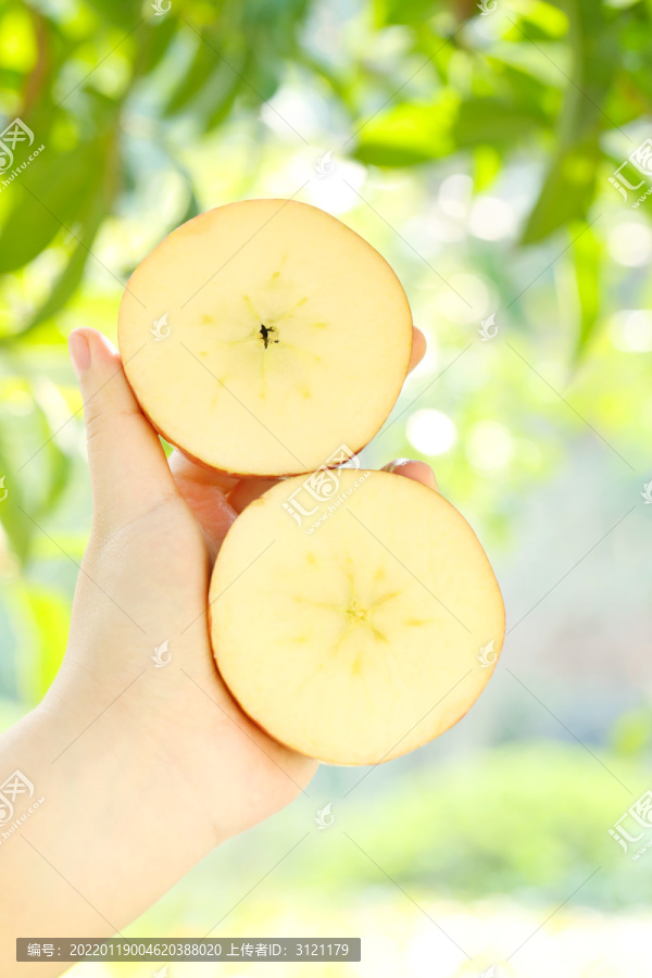 苹果