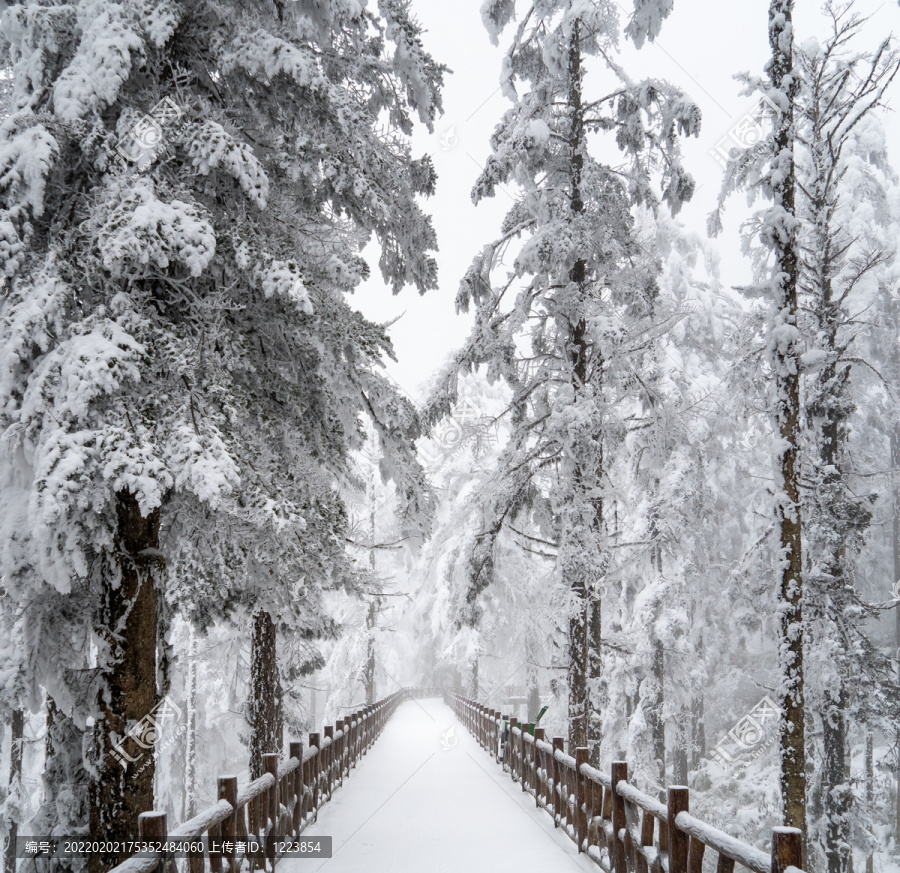 雪山游步道