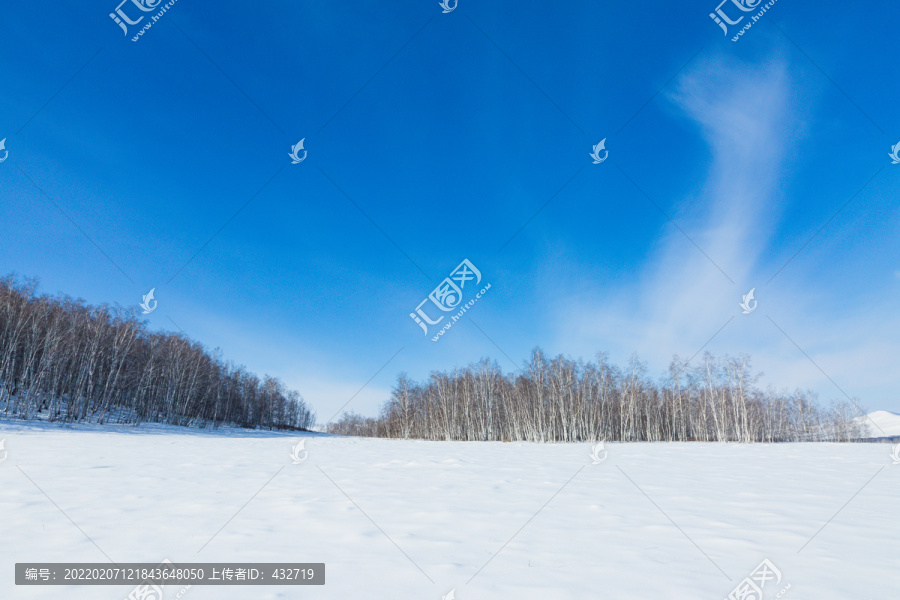 雪地雪原白桦林