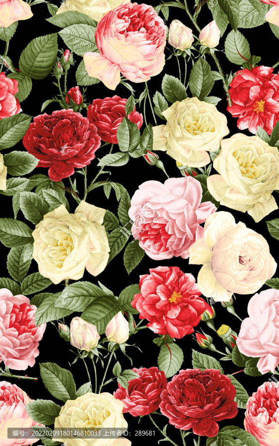 花朵玫瑰花设计图