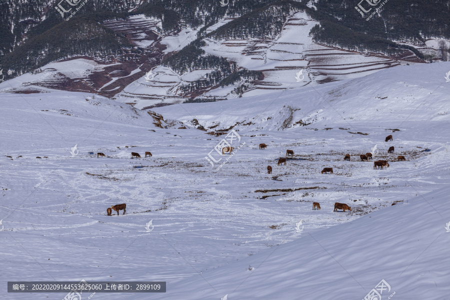 昭通大山包冬季雪山自然风光