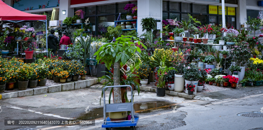 鲜花店