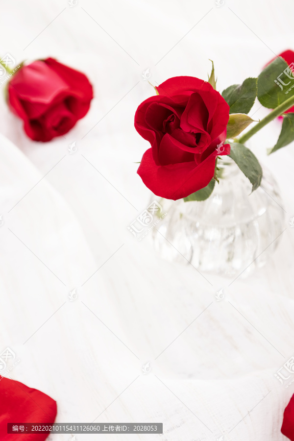 情人节红玫瑰素材背景