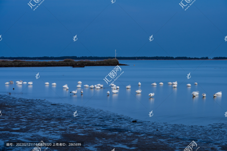 山东威海荣成天鹅湖夜晚静悄悄