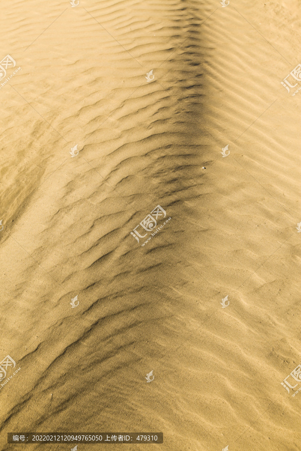 沙漠沙洲