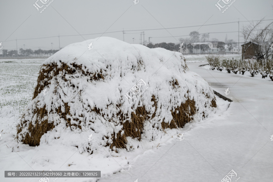 积雪草垛