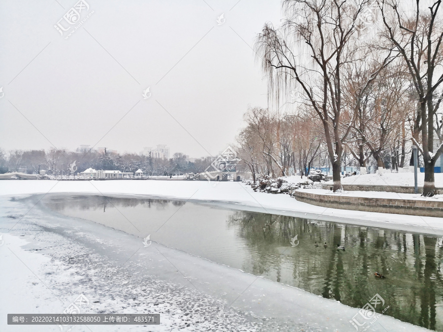 雪景