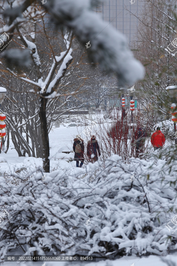 雪后风光