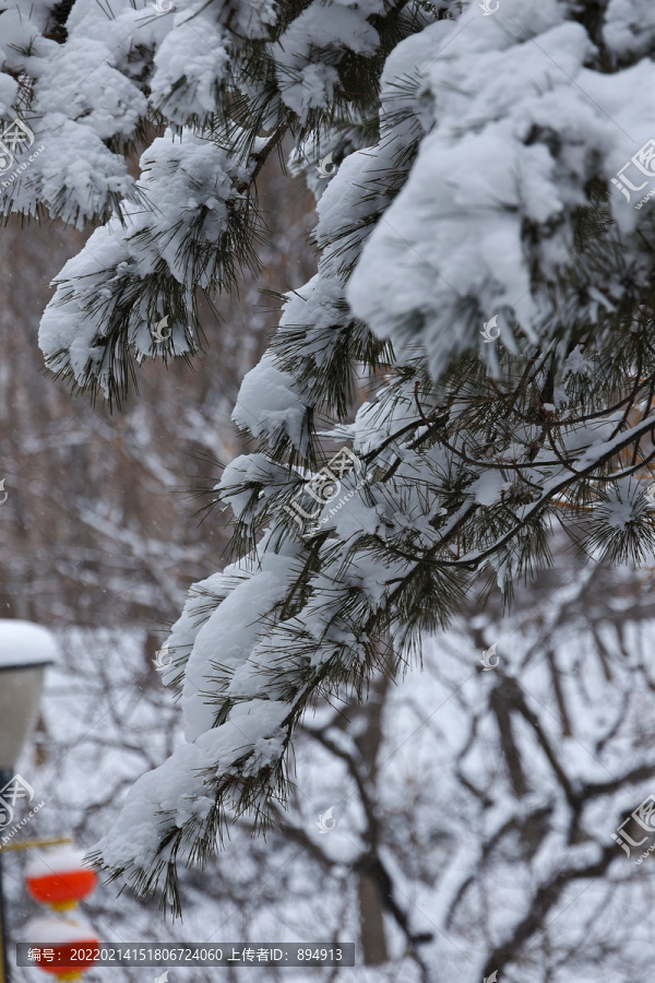 雪后风光