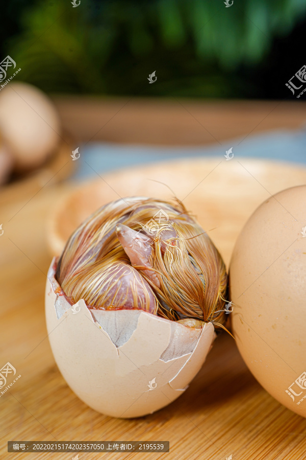 毛鸡蛋