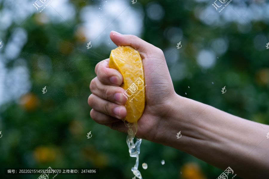 橘子橙子新鲜水果美食柑橘